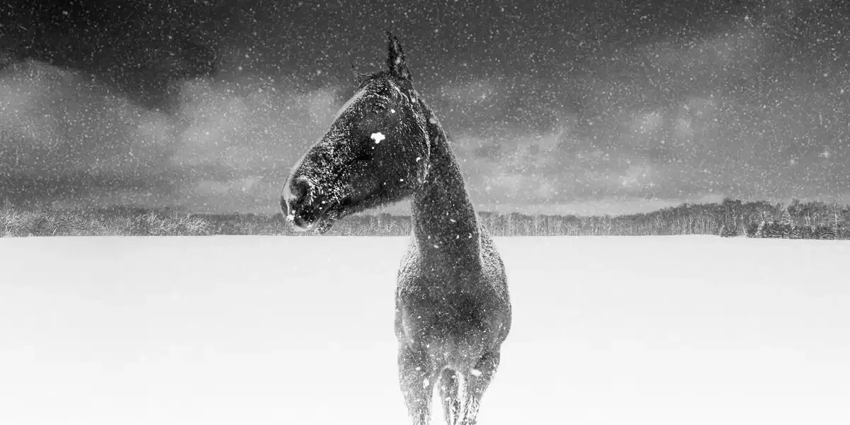 Jason M. Peterson