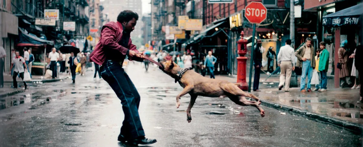 Jamel Shabazz